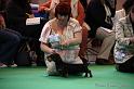 Crufts2011_2 543